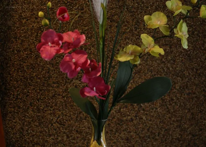 Zur Heidquelle 3* Βρέμη